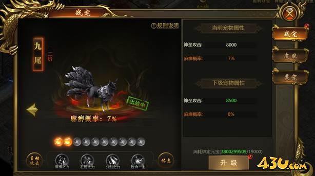 战无止境宠物系统